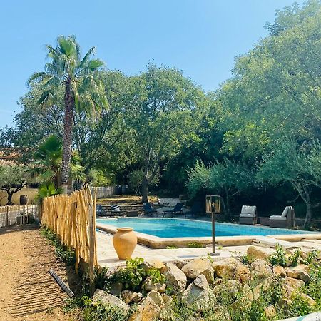 Magnifique Villa Typique Du Sud Avec Piscine Privee Et Jardin Mediterraneen Saint-Vincent-de-Barbeyrargues Экстерьер фото